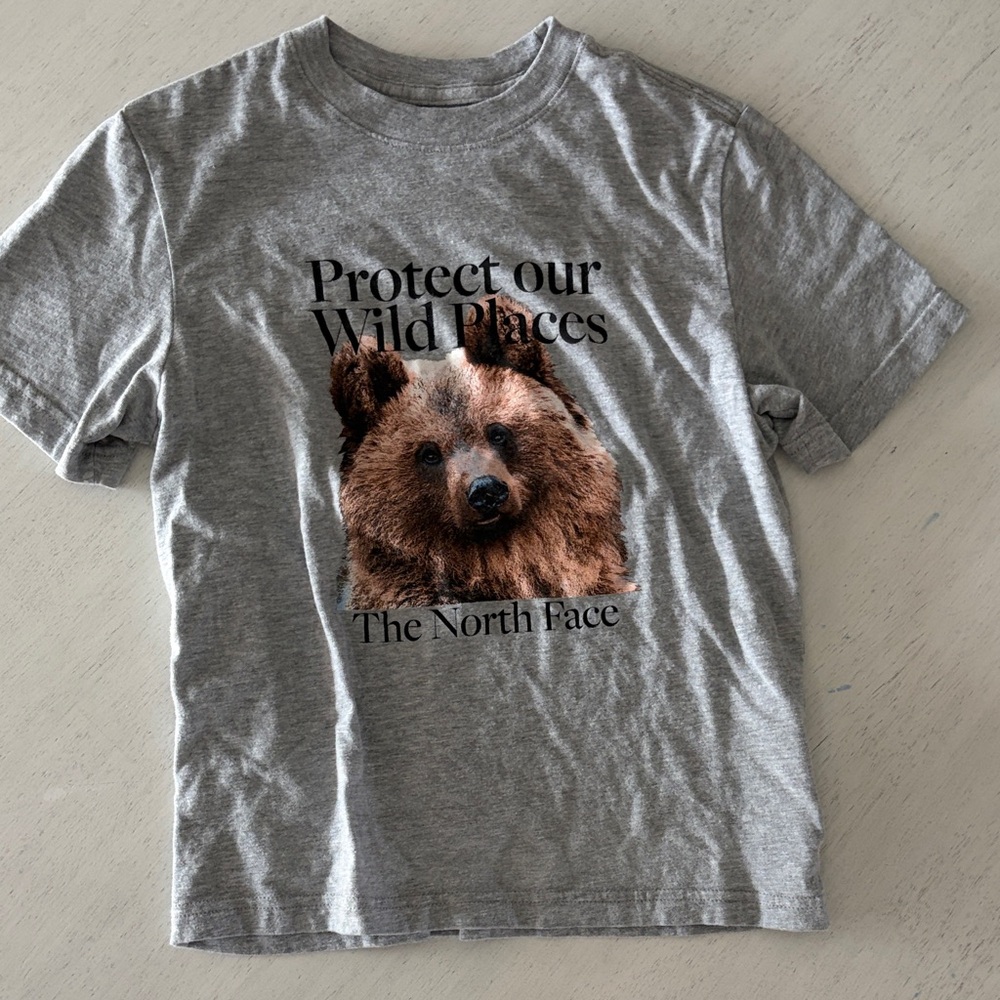 Kids The North Face Gray T-Shirt with Bear Graphic
